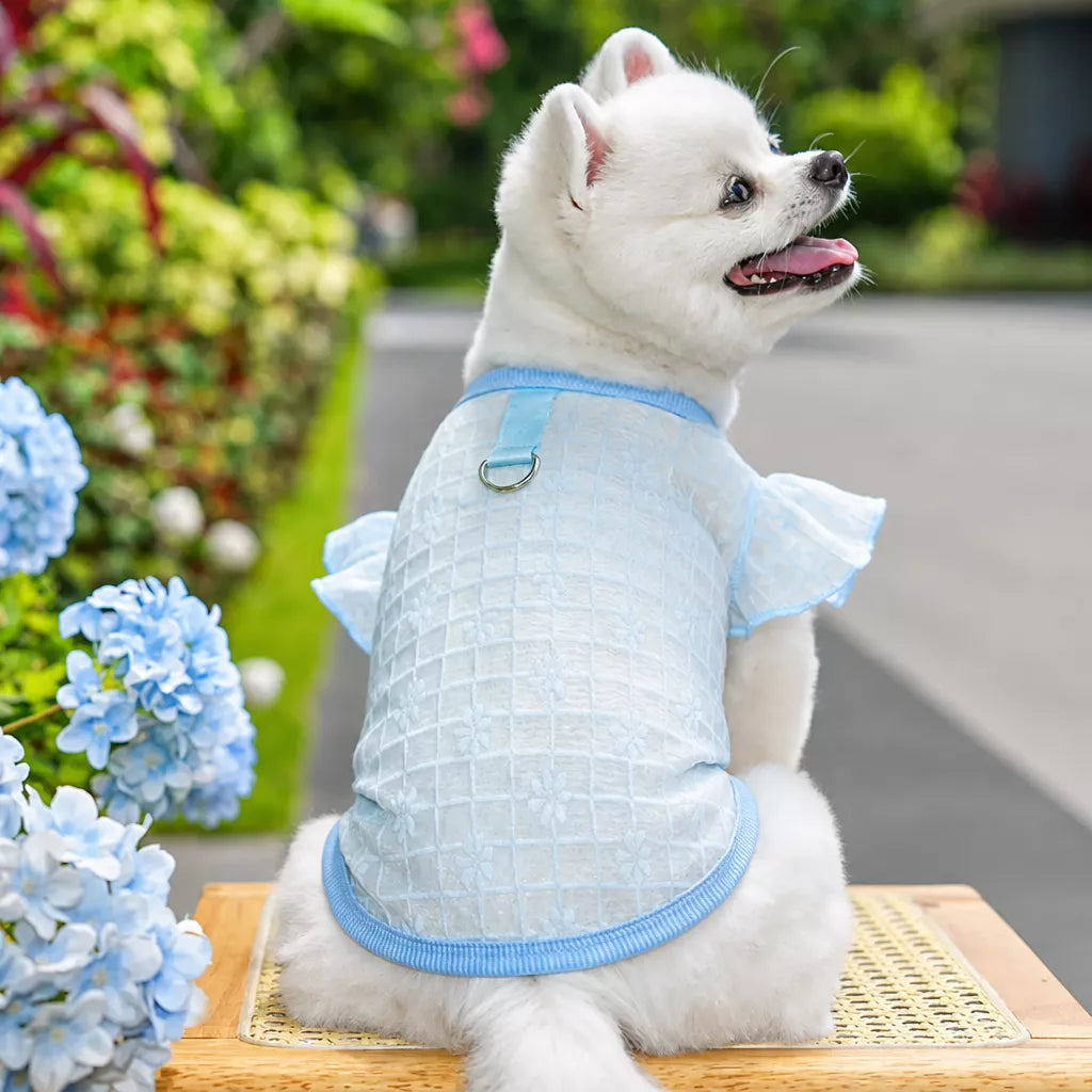 Lightweight Silk Pet Shirt with Lace Sleeves