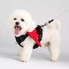 Wing-Design Nylon Dog Harness