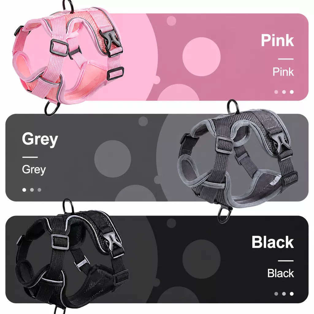 Adjustable Cat Harness and Leash
