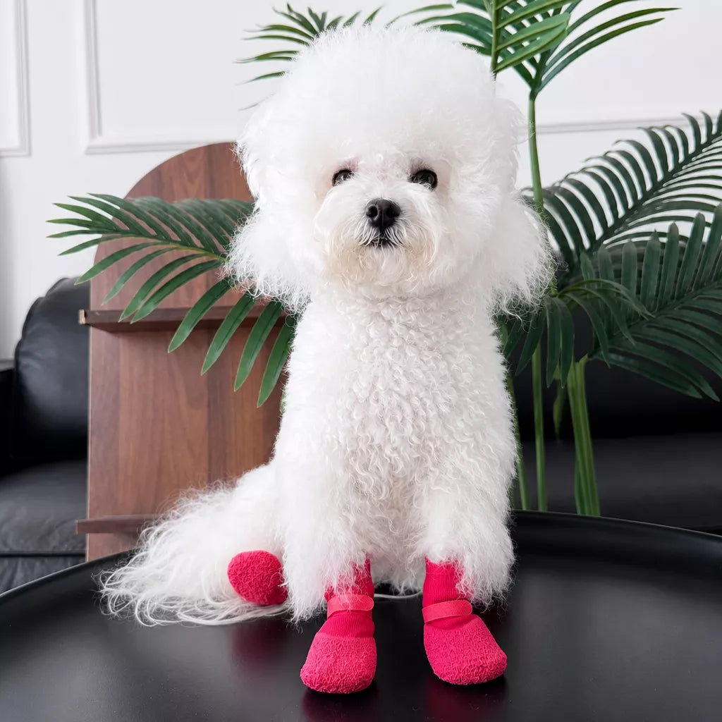 Dog Shoes for Small and Medium Dogs