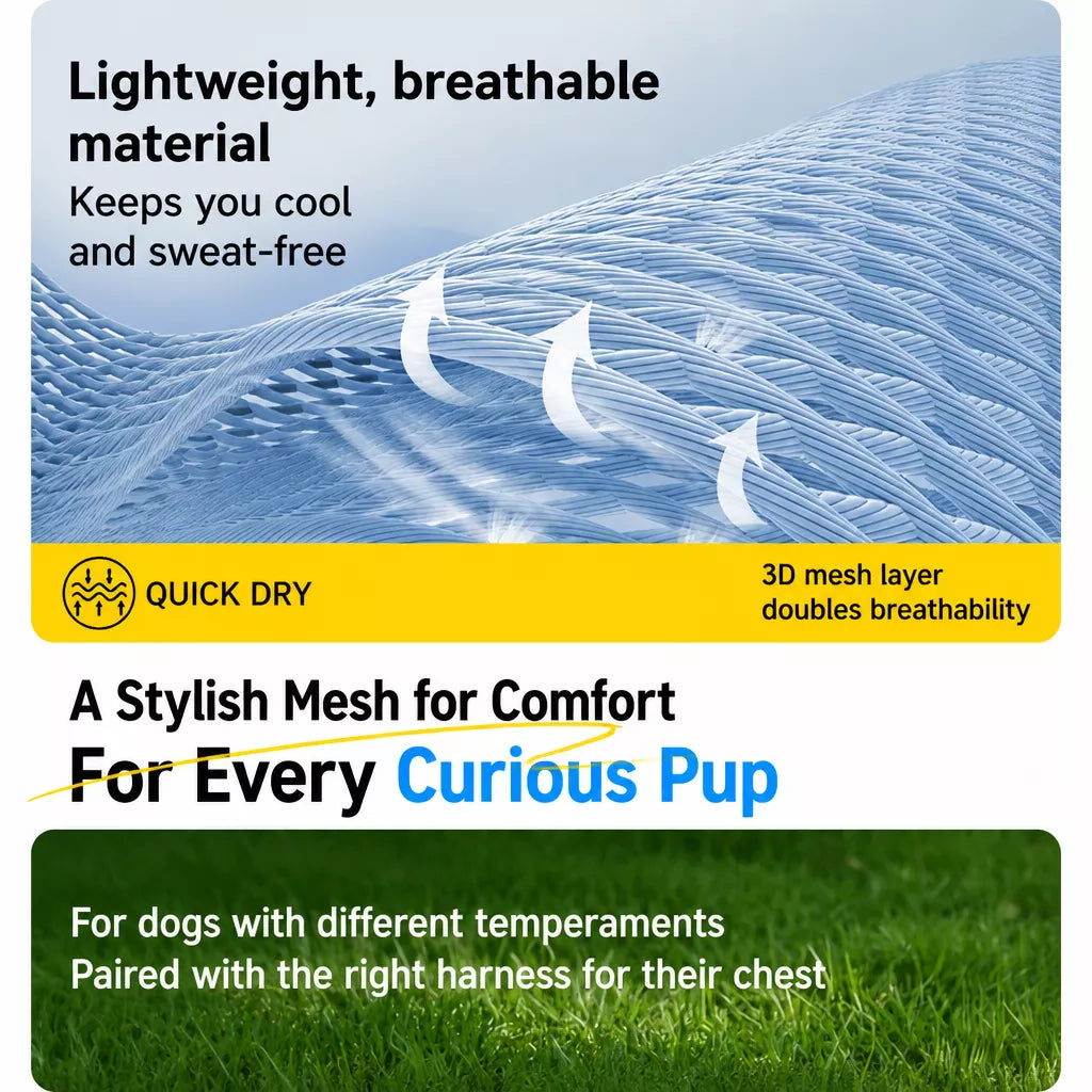 Dog Harness and Leash Set for Small to Medium Dogs