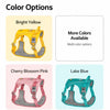 Lightweight Breathable Dog Harness and Leash