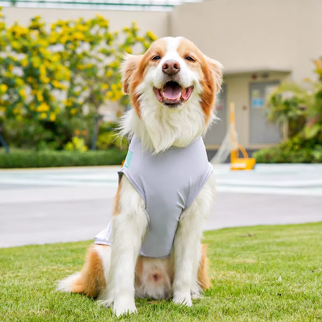 Lightweight Four-Leg Pet Shirt for Dogs & Cats
