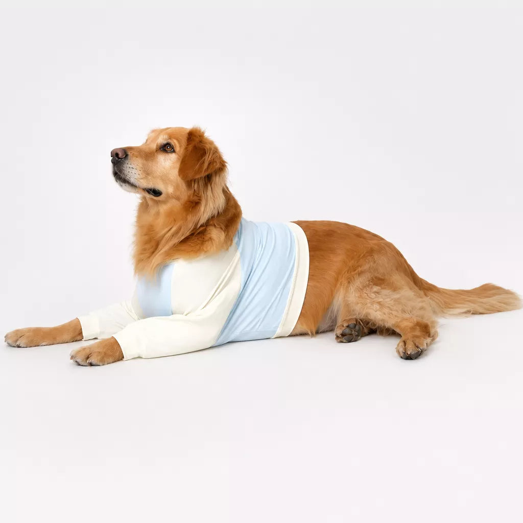 Lightweight Summer Dog Shirt for Medium to Large Breeds