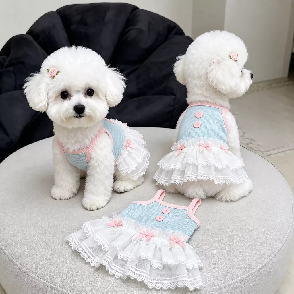 Pet Tank Tops and Strappy Dresses