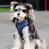 Polyester Vest-Style Dog Harness
