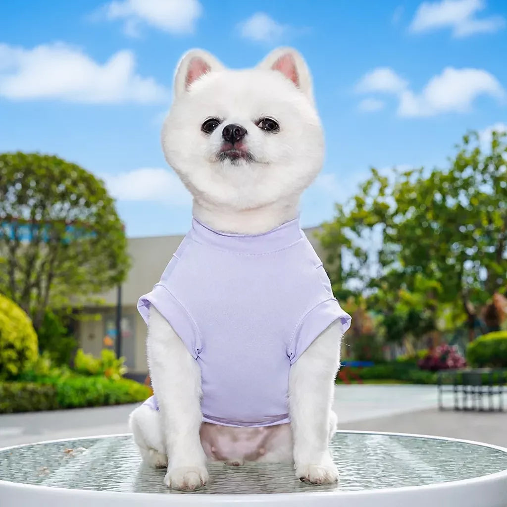 Lightweight Dog & Cat Shirt for Warm-Weather Wear