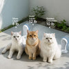 Cat Window Hammock with Suction Cup Mounts