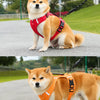 Nylon Dog Walking Harness