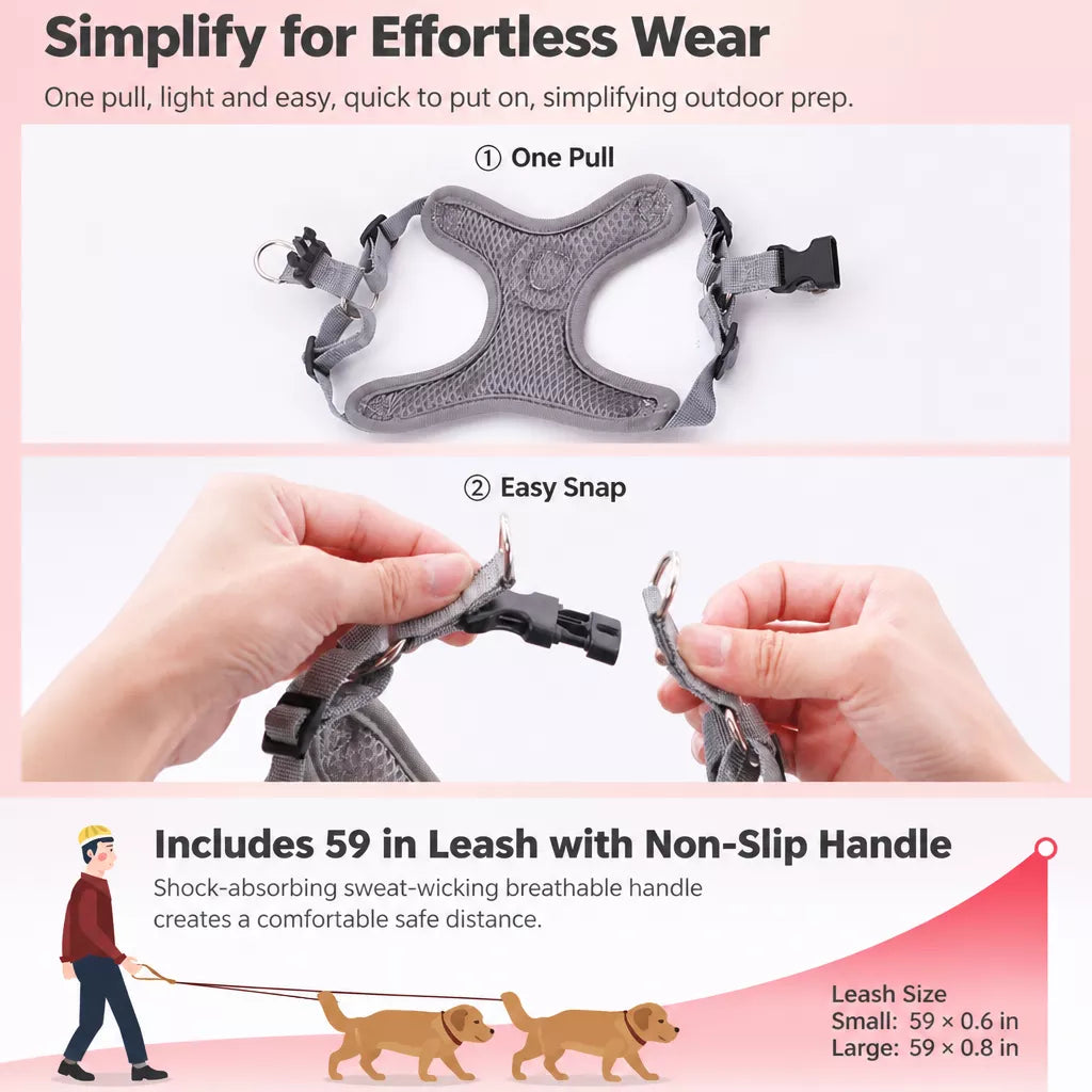 Dog Harness and Leash Set for Small to Medium Dogs