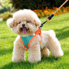 Nylon Dog Harness and Leash for Small Dogs