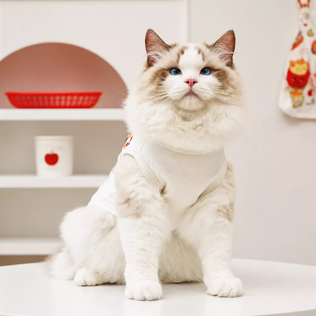 Lightweight Pet Vest for Small Dogs and Cats