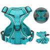 Reflective Cat Harness and Leash Set with Nylon Rope