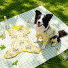 Lightweight Four-Leg Dog Shirt