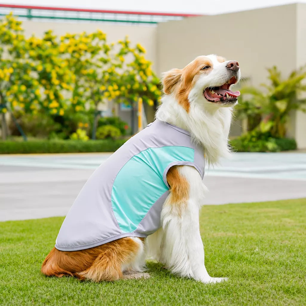 Lightweight Four-Leg Pet Shirt for Dogs & Cats