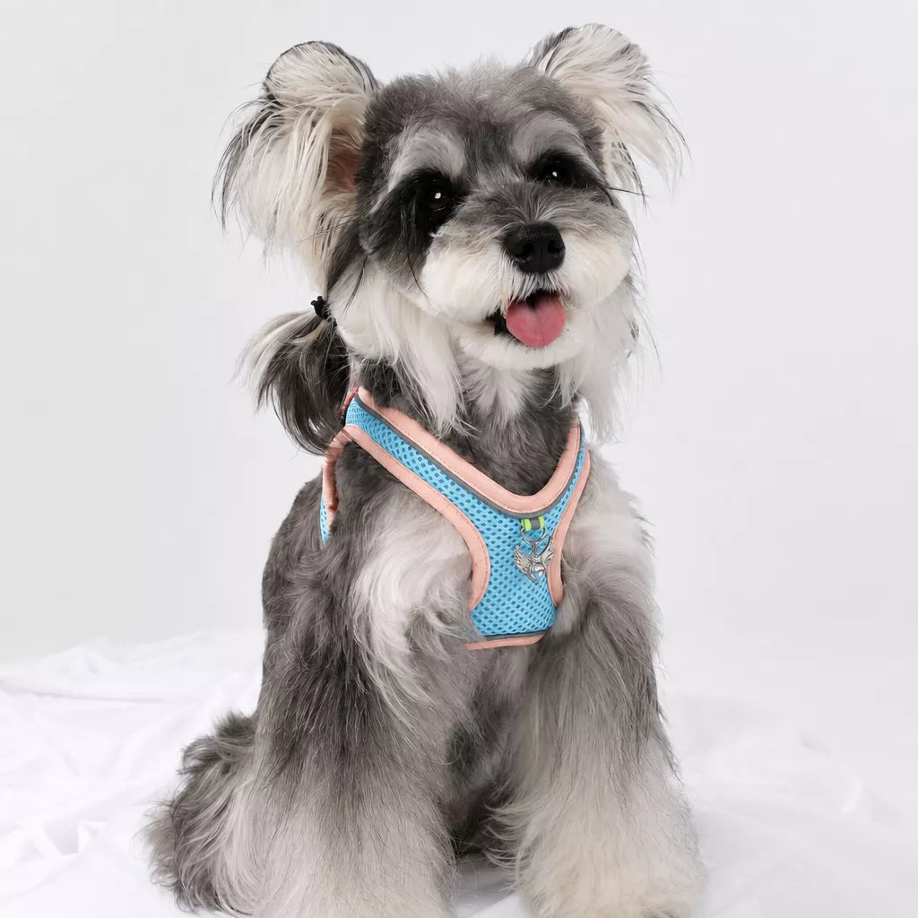 Adjustable Dog Harness with 4.6-ft Leash for Small Dogs
