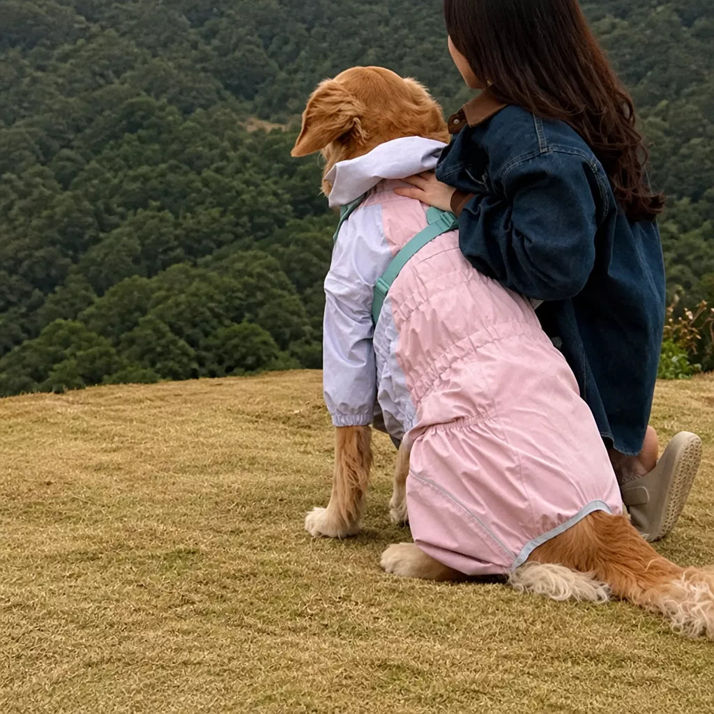 Four-Leg Dog Raincoat for Medium to Large Dogs