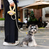 Nylon Rope Dog Leash for Walking and Training