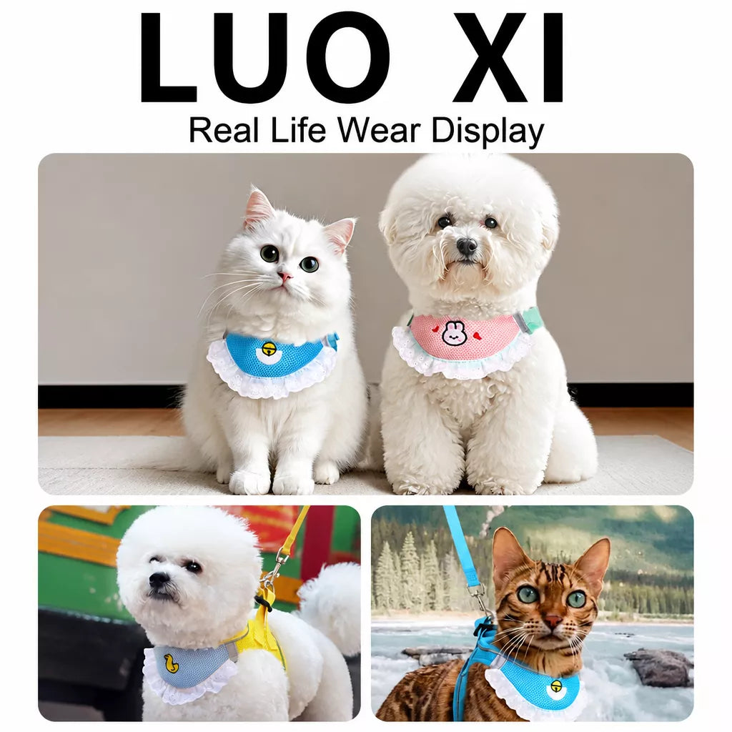 Nylon Dog & Cat Harness and Leash for Everyday Walks