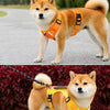 Nylon Dog Walking Harness