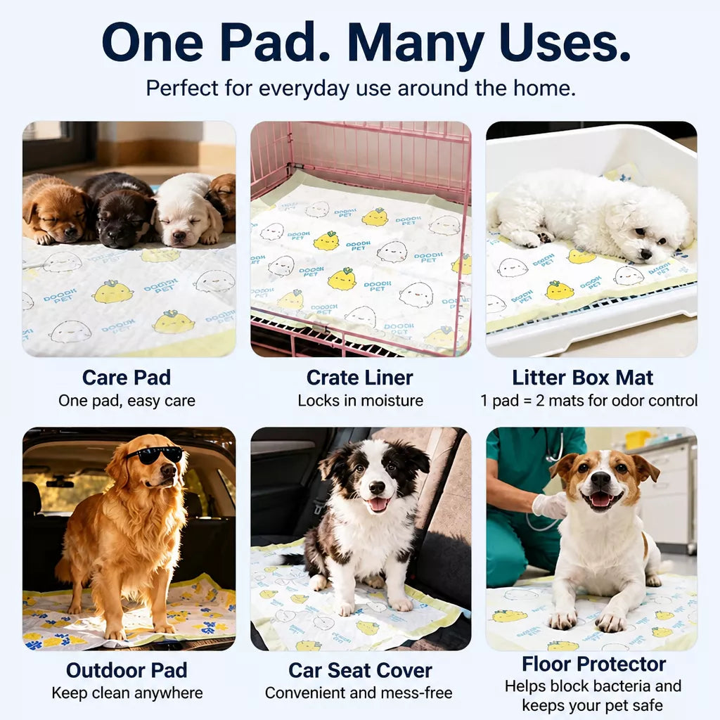 Thick Absorbent Dog Training Pads