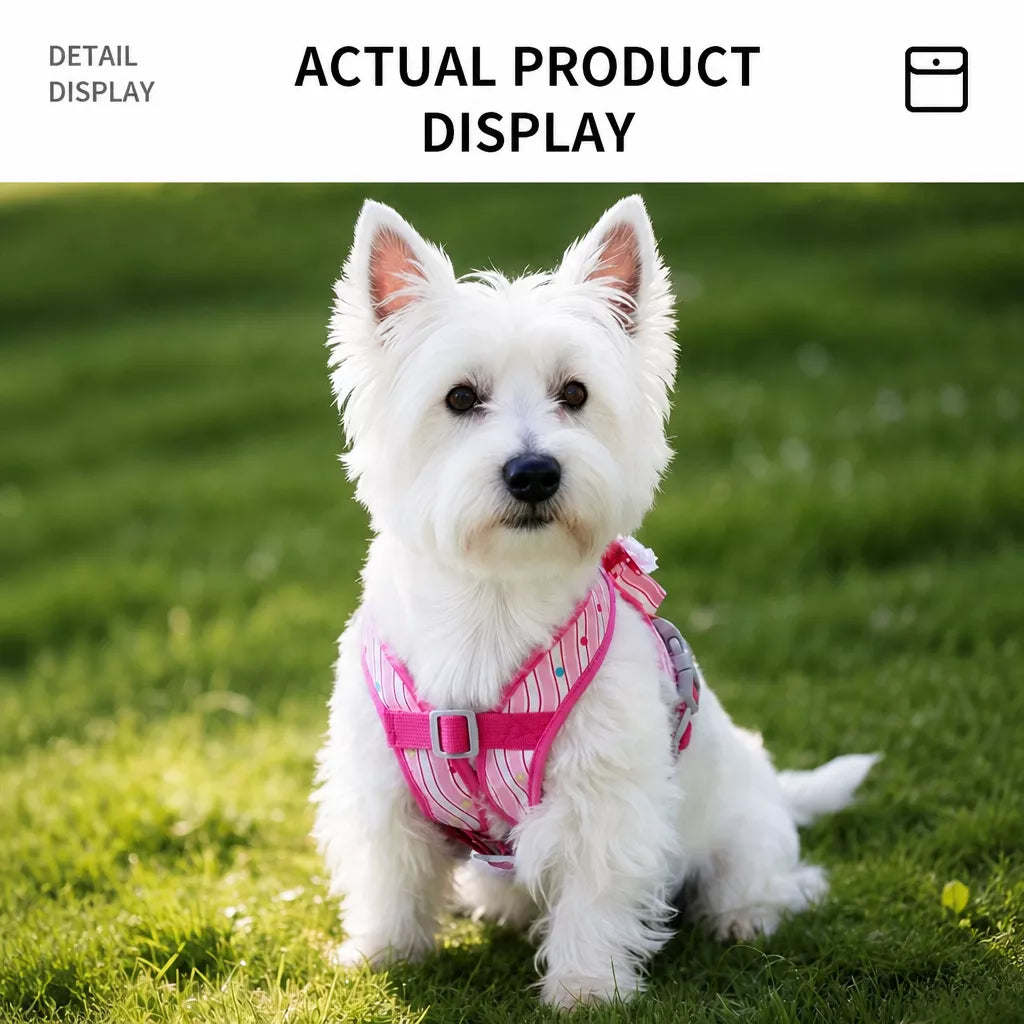 Vest-Style Harness and Leash Set for Small to Medium Dogs