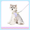 Nylon Round Rope Dog Leash for Small to Medium Dogs