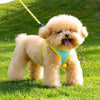 Nylon Dog Harness and Leash for Small Dogs