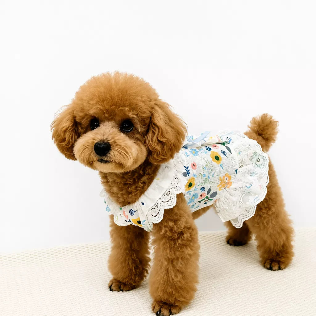 Lightweight Lace Pet Clothing with Bow and Ruffle Trim