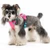 Adjustable Vest-Style Dog Harness and Leash