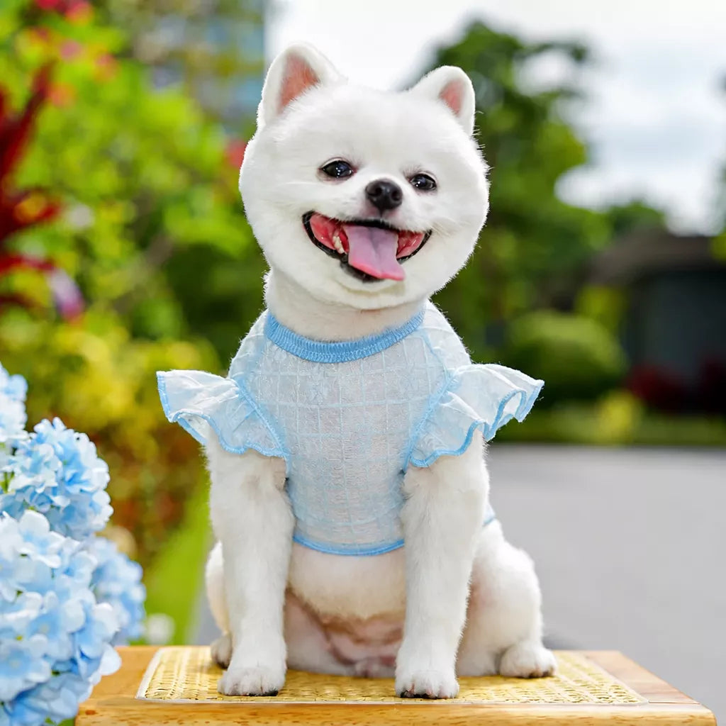 Lightweight Silk Pet Shirt with Lace Sleeves