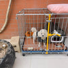 Galvanized Steel-Bar Dog Crate for Indoor or Outdoor Use