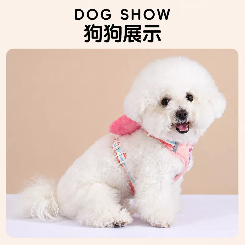 Small Dog Harness & Leash