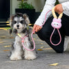 Nylon Rope Dog Leash for Walking and Training