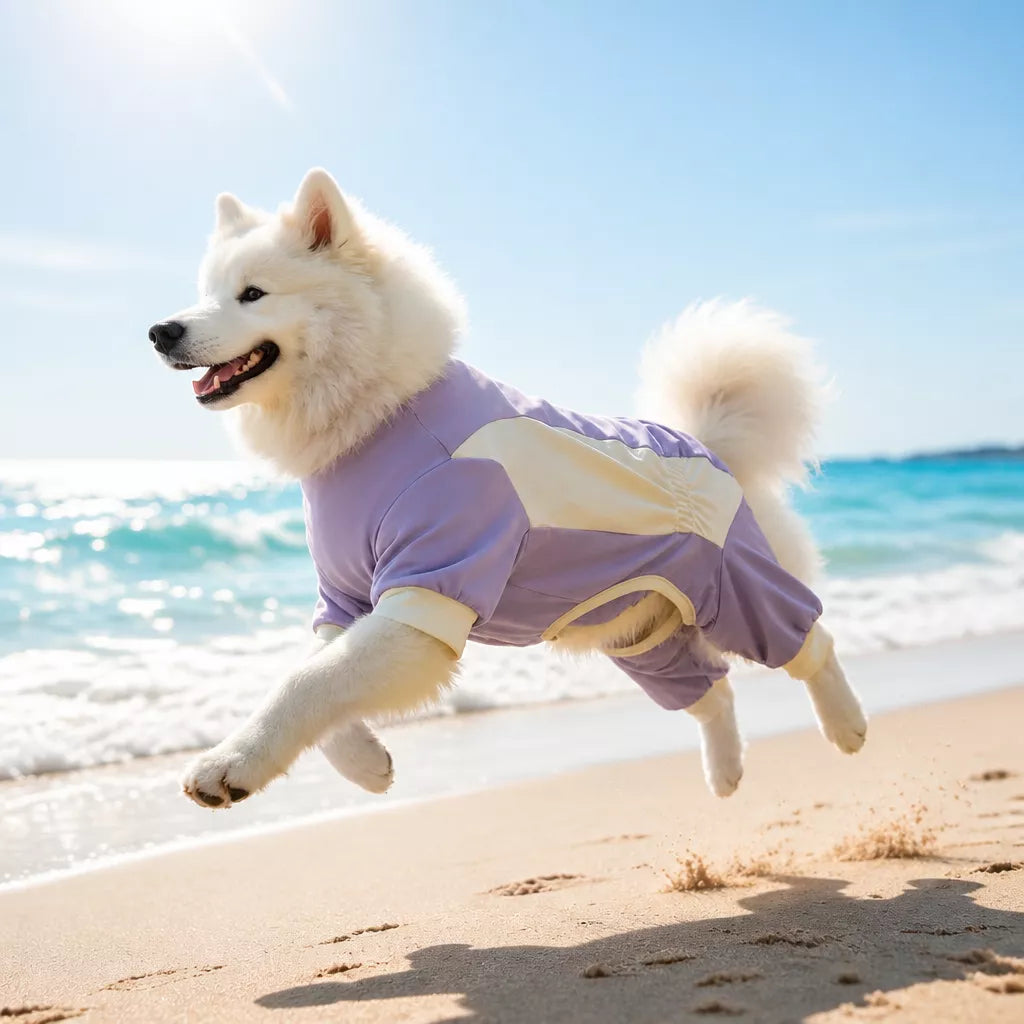 Summer Dog Clothing for Outdoor Wear