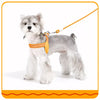 Nylon Round Rope Dog Leash for Small to Medium Dogs