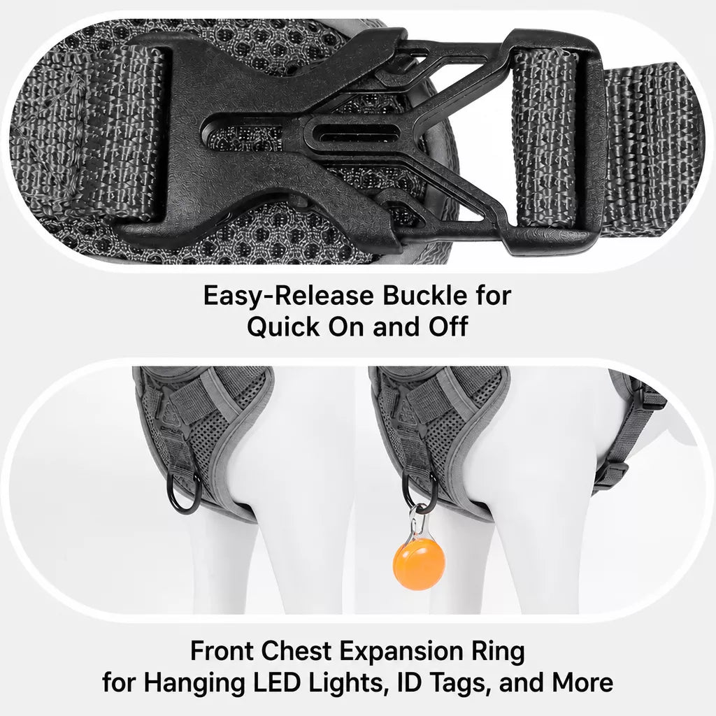 Adjustable Cat Harness and Leash