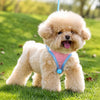 Nylon Dog Harness and Leash for Small Dogs