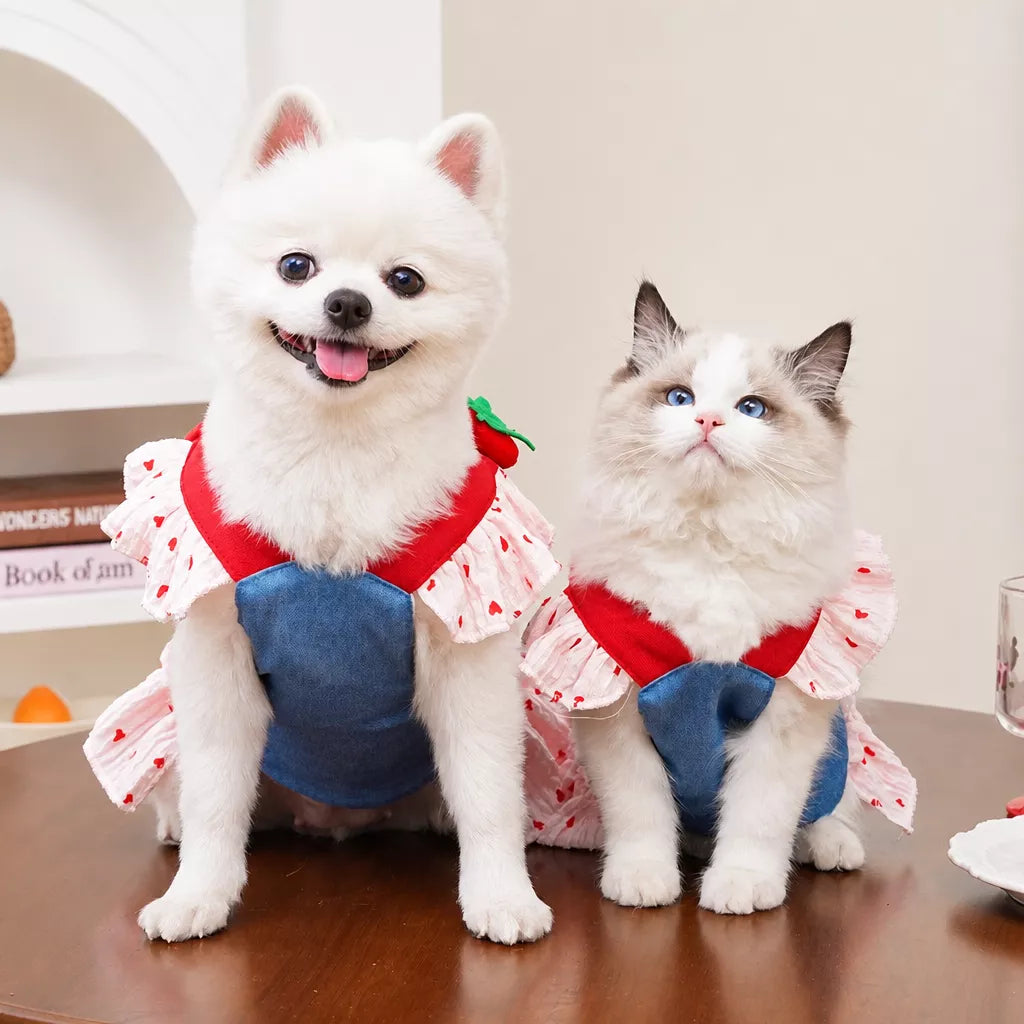 Cotton Denim-Style Pet Dress with Harness and Leash