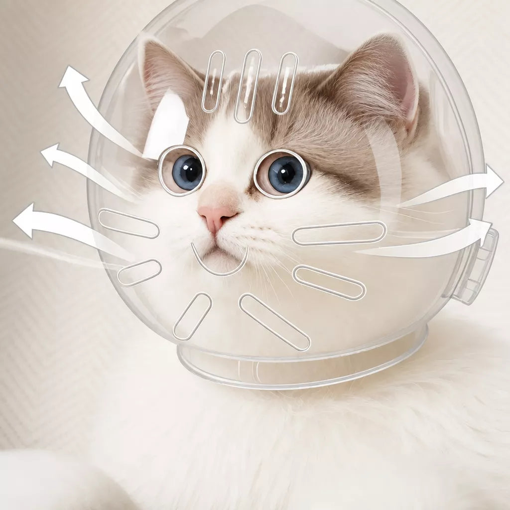 Clear Plastic Pet Recovery Cone for Cats