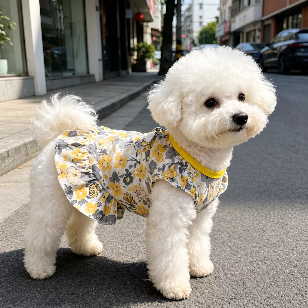 Mesh Pet Dress for Dogs and Cats