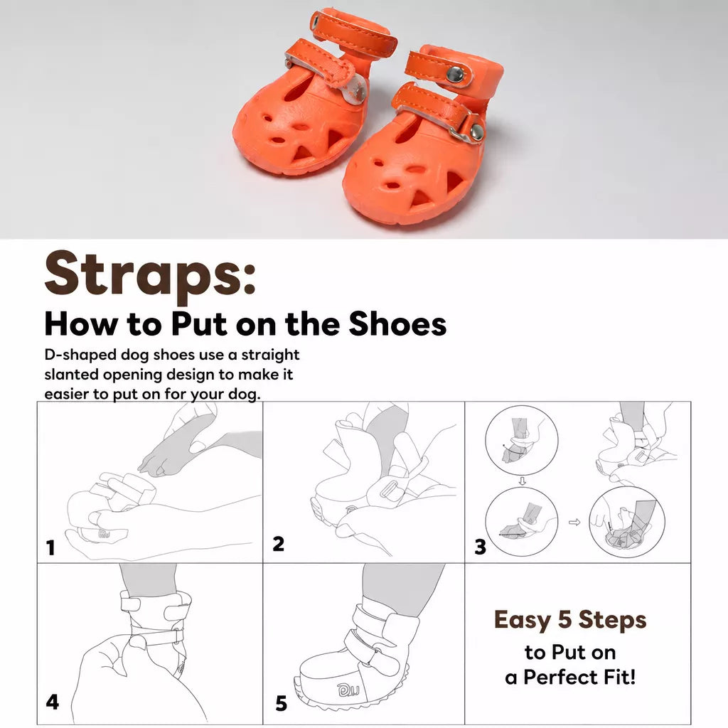 Dog Clog-Style Shoes for Outdoor Walks
