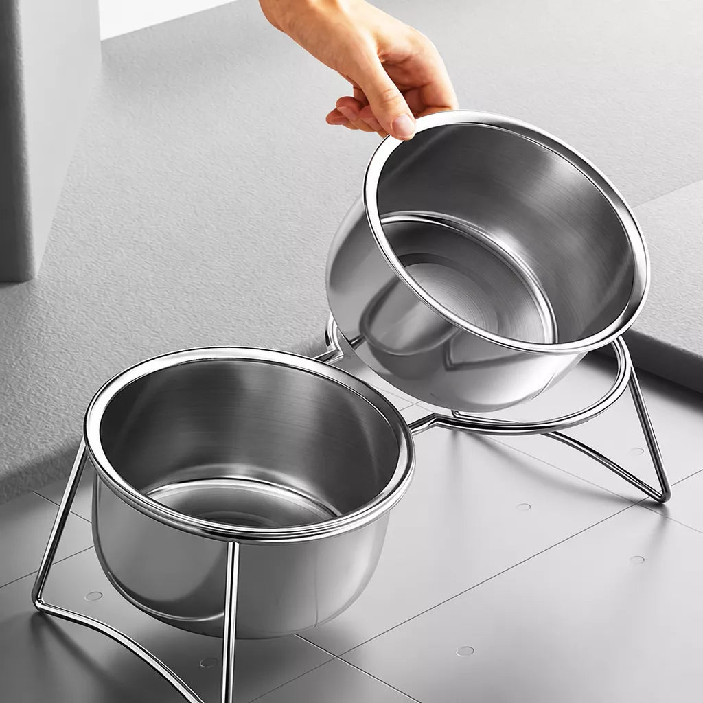 Stainless Steel Double Pet Bowls with Elevated Stand