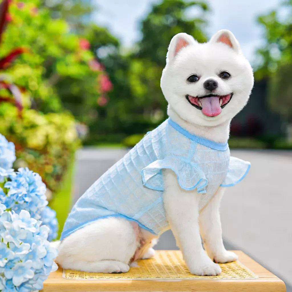 Lightweight Silk Pet Shirt with Lace Sleeves