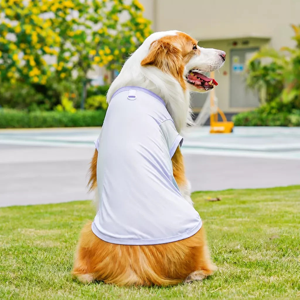 Lightweight Four-Leg Pet Shirt for Dogs & Cats