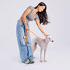 All-in-One Dog Collar and Leash
