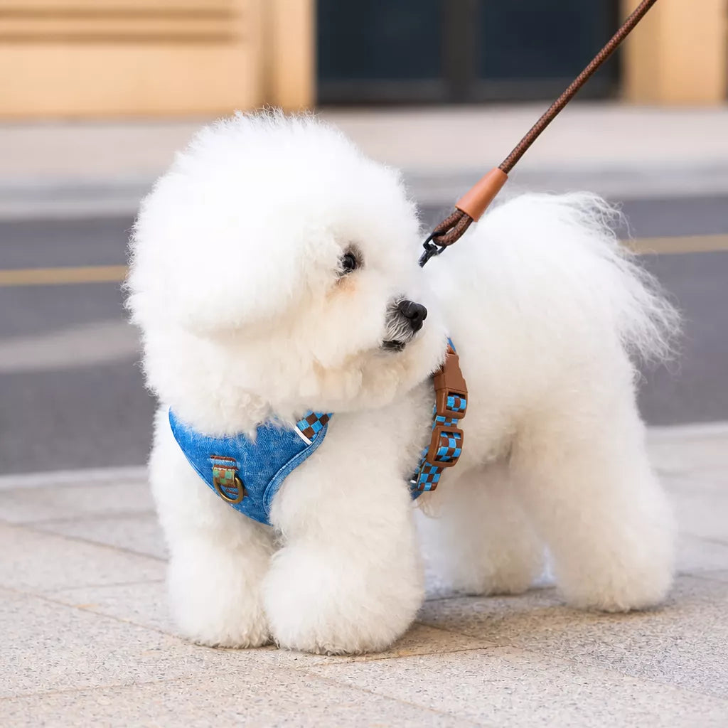 Adjustable Vest-Style Dog Harness