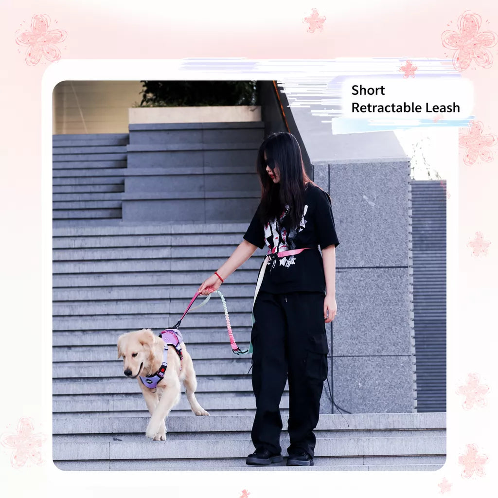 Crossbody Elastic Dog Leash
