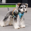 Polyester Vest-Style Dog Harness