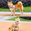 Small Dog Harness and Leash Set